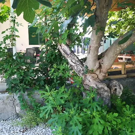 David Sveti Filip i Jakov